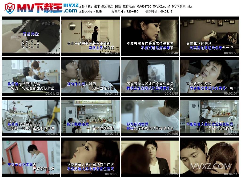 张宇-爱过境迁_国语_流行歌曲_MA503730